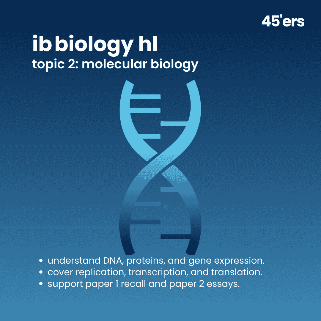 IB Biology HL Molecular Biology Notes