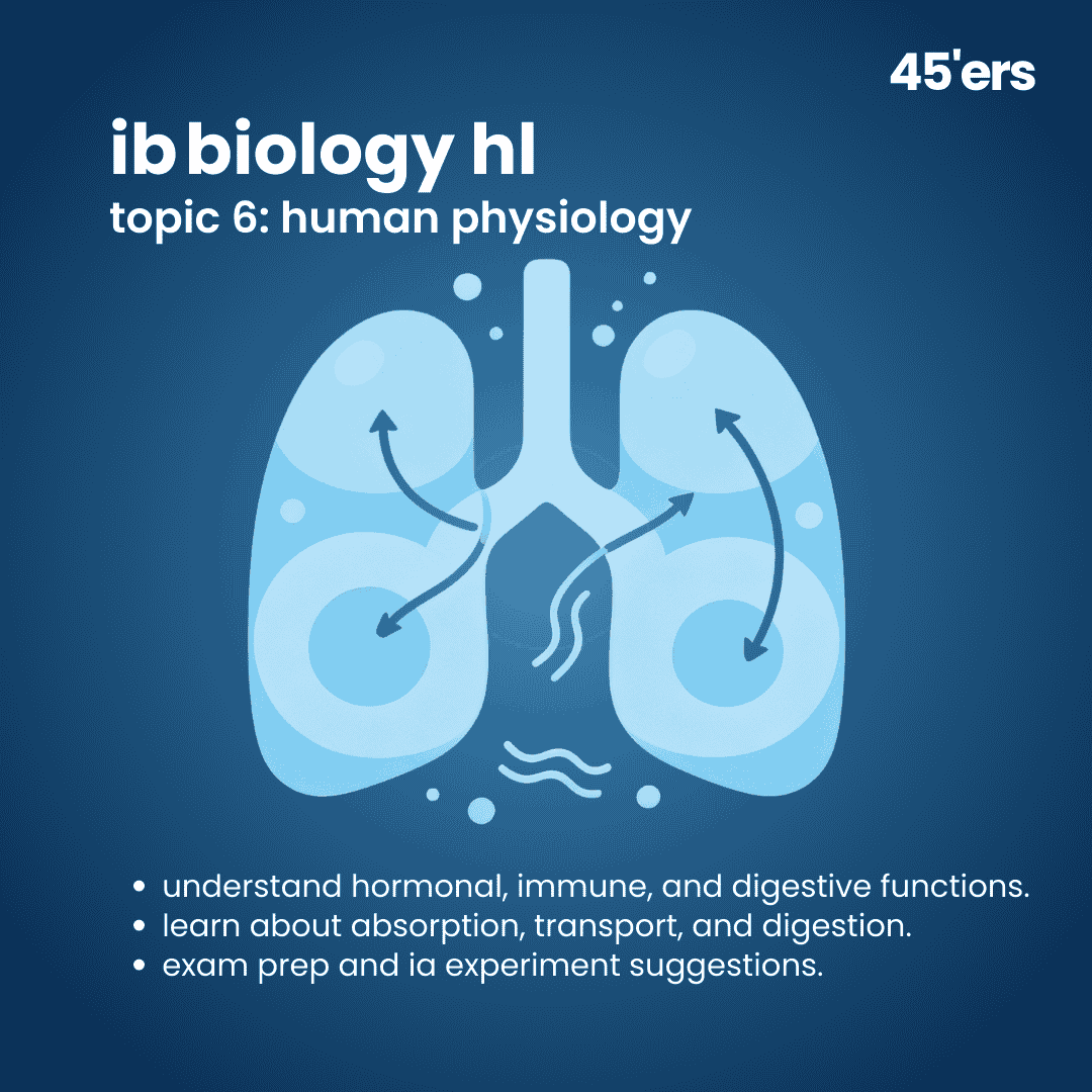 Biology HL Human Physiology