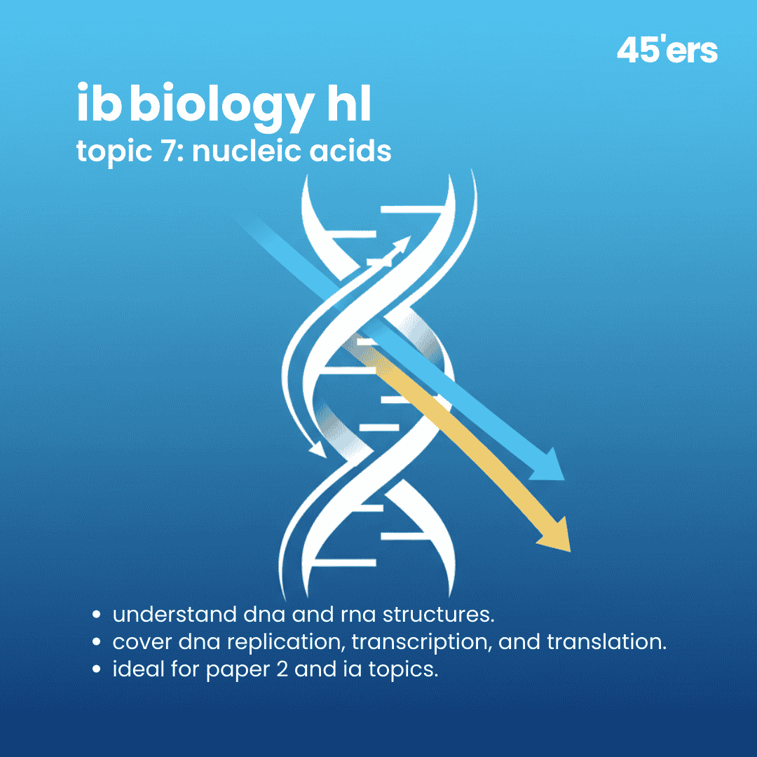 Biology HL Nucleic Acids