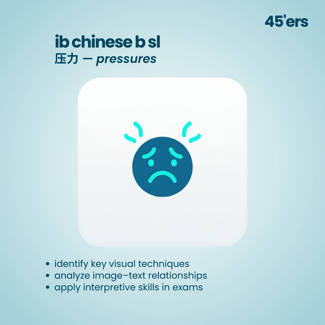 IB Chinese B SL Vocabulary Notes